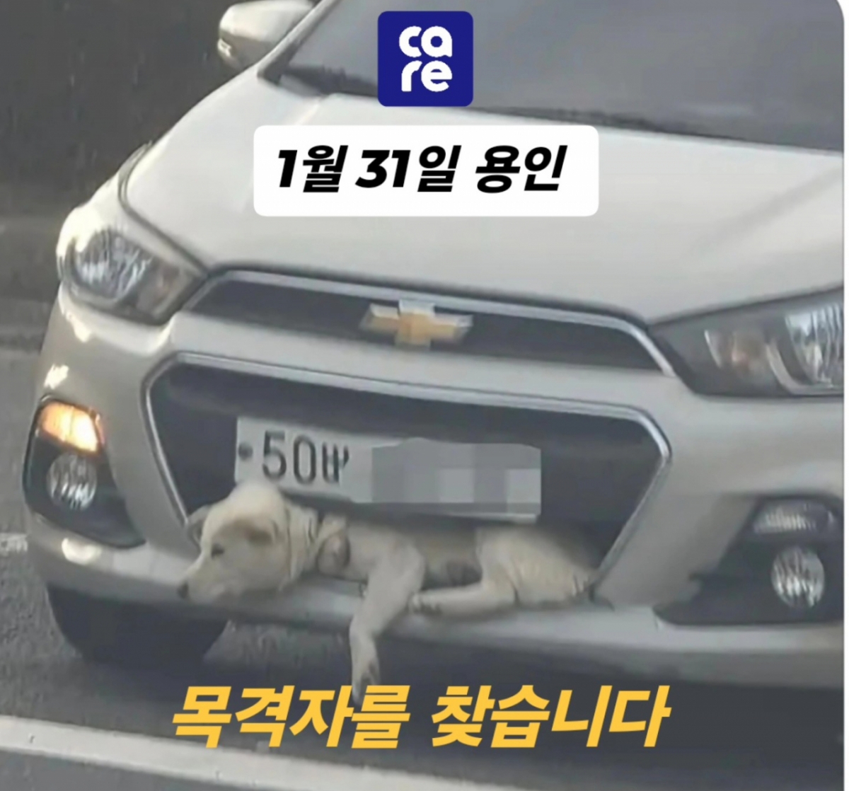 사진=케어 제공