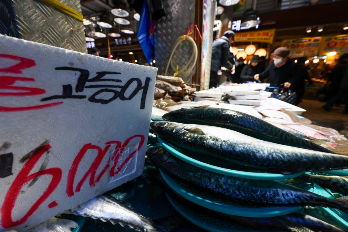 서울 동대문구 청량리농수산물시장에 고등어가 진열돼 있다./사진제공=뉴시스