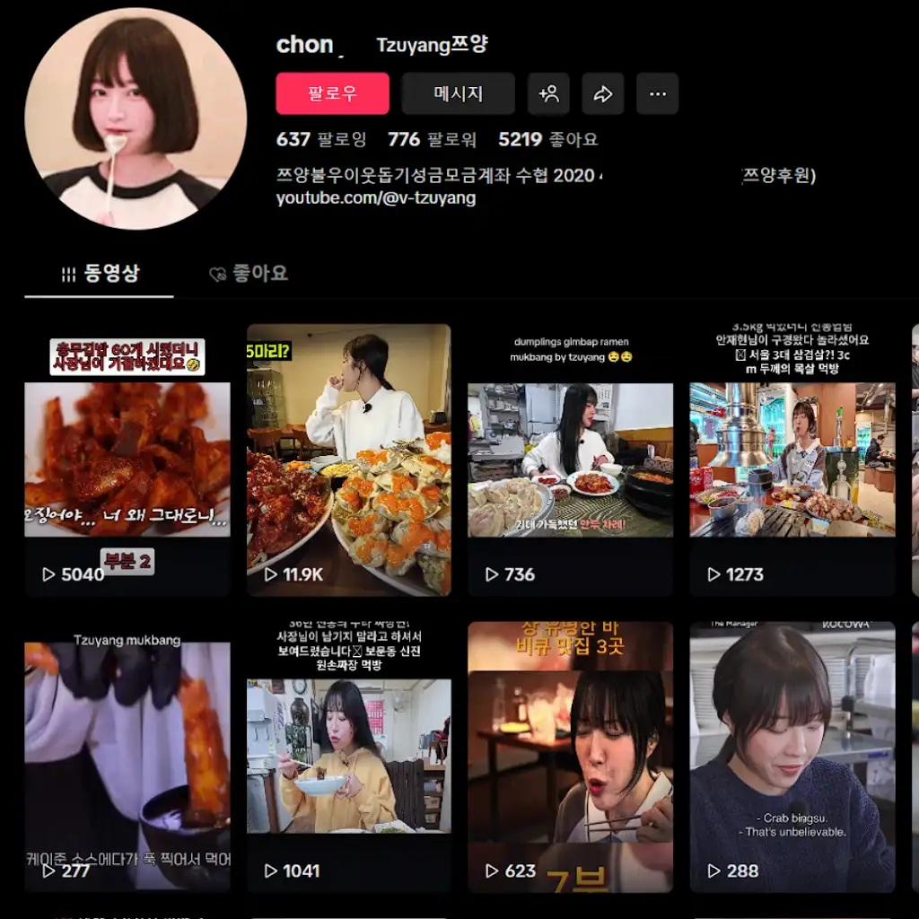 쯔양을 사칭한 틱톡 계정. /사진=쯔양 유튜브 갈무리 