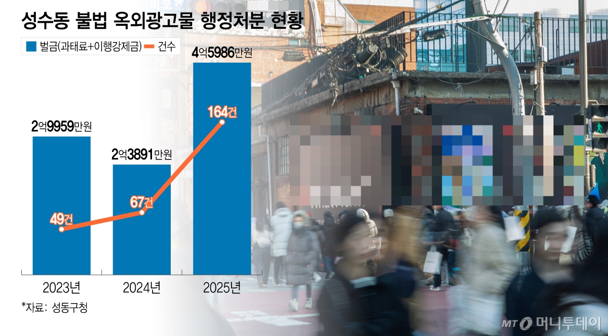 성수동 불법 옥외광고물 행정처분 현황./그래픽=이지혜 디자인기자.
