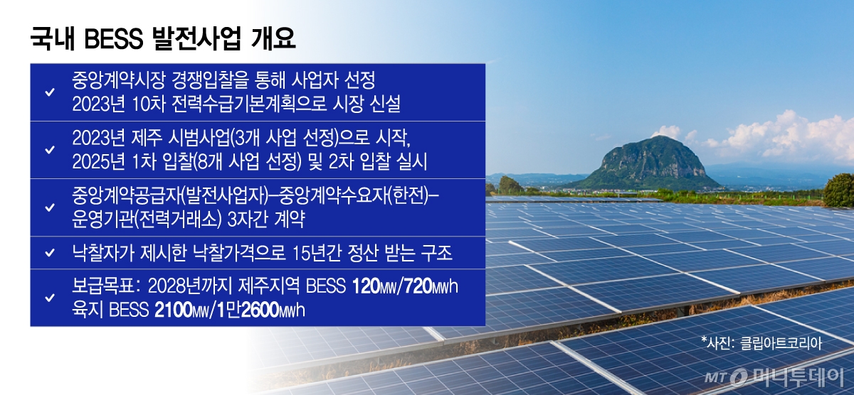 국내 BESS 발전사업 개요/그래픽=이지혜