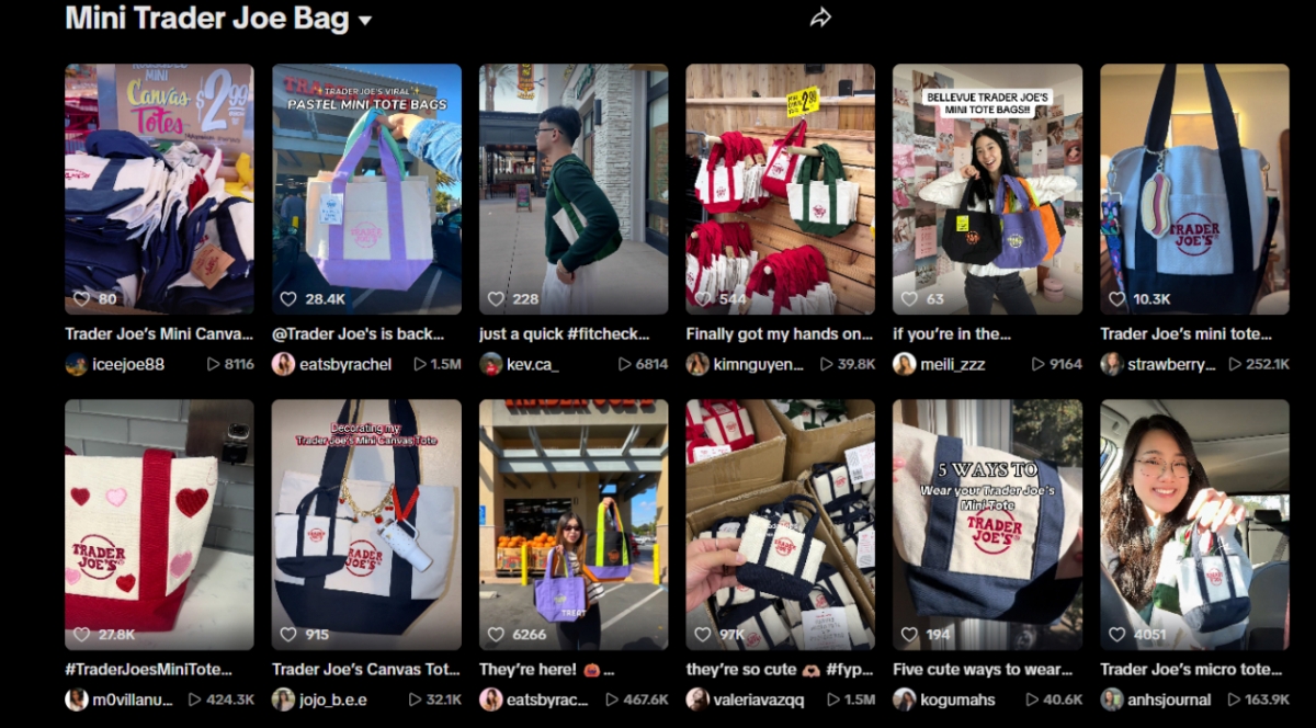 동영상 플랫폼 틱톡에서 '트레이더 조 미니 가방'으로 검색한 결과 /사진=틱톡