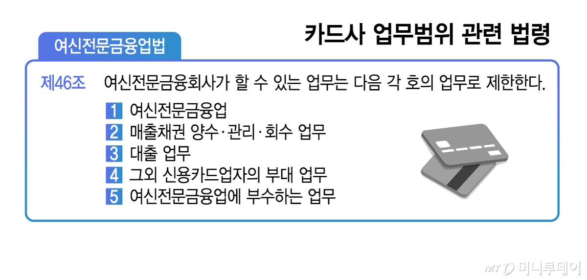 카드사 업무범위 관련 법령/그래픽=김지영