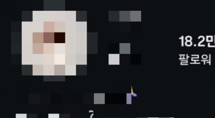 박씨 인스타그램. 팔로워 수는 18만2000명에 이른다.