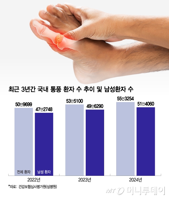 최근 3년간 국내 통풍 환자 수 추이 및 남성환자 수. /그래픽=이지혜 디자인기자