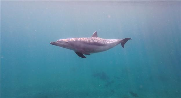 사진=해수부 제공. 