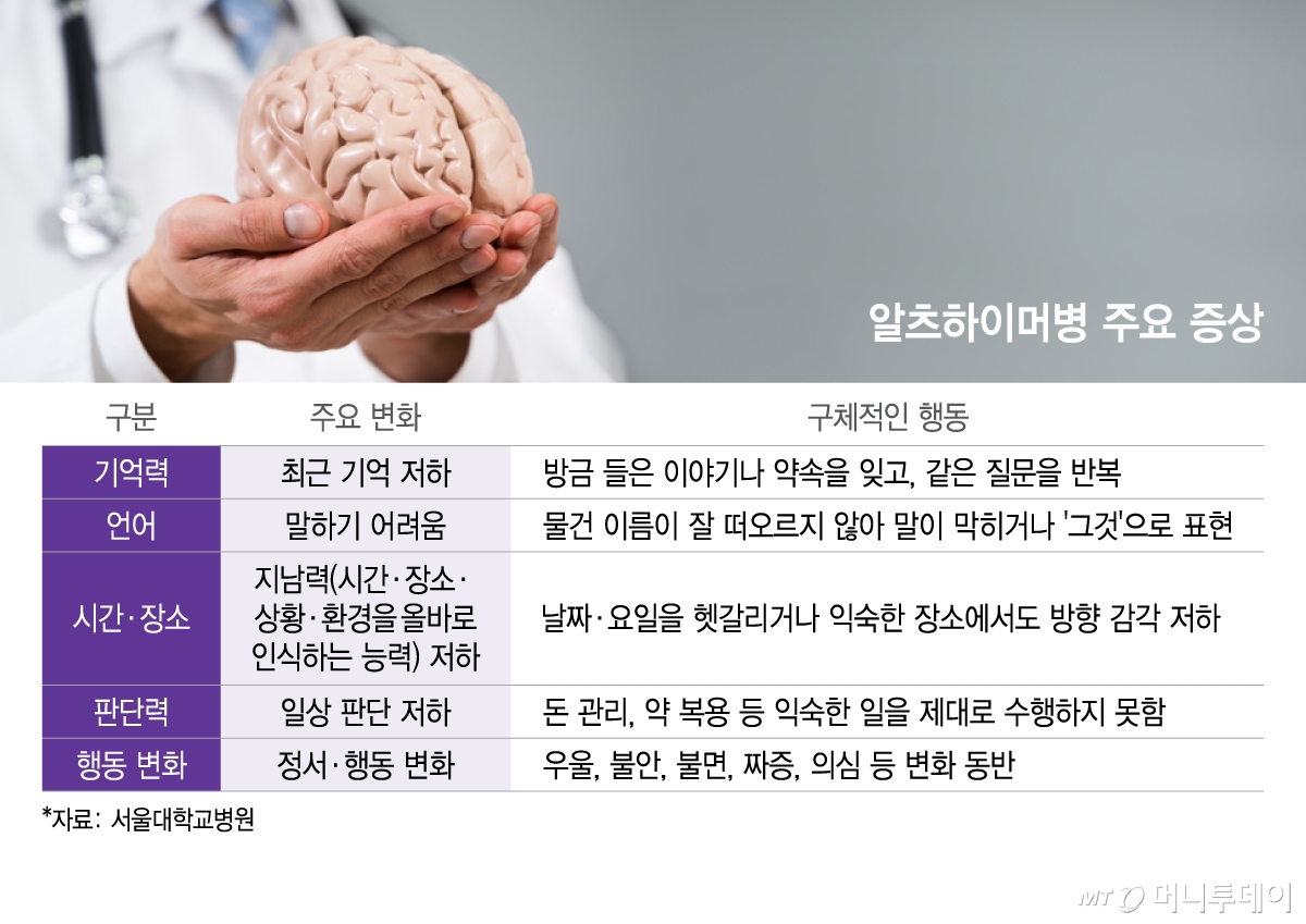 알츠하이머병 주요 증상. /그래픽=이지혜 디자인기자
