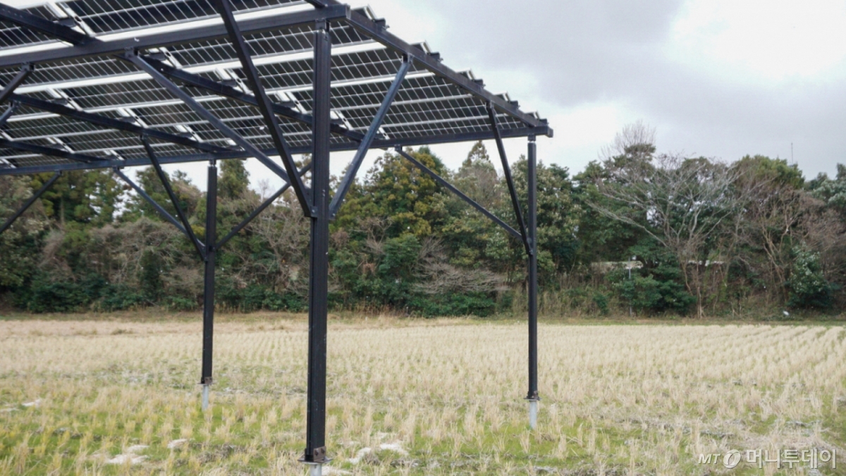 지난달 22일 일본 야마구치현 시모노세키시의 한 고시히카리(일본 쌀 품종) 재배지에 영농형 태양광 시설이 설치돼있다./사진=최지은 기자 /사진=최지은