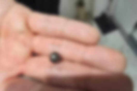 지난 20일 인천 연수구 송도동 한 아파트에서 A씨가 범행에 쓴 산탄./사진=인천경찰청 제공