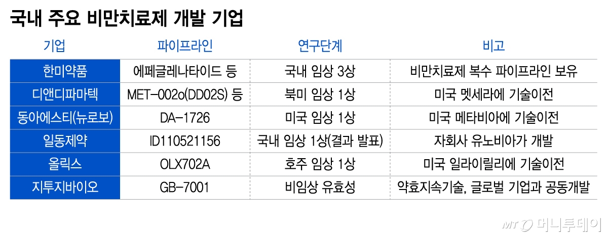 국내 주요 비만치료제 개발 기업/그래픽=이지혜