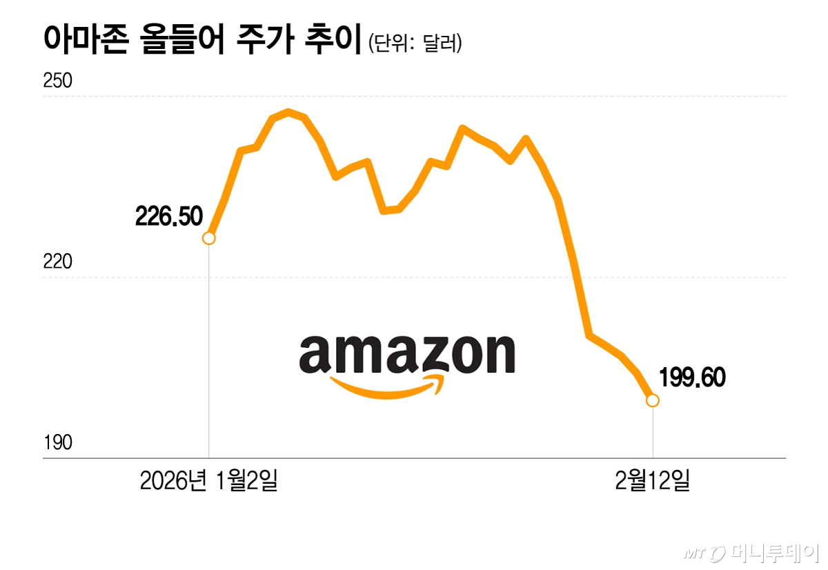 아마존 올들어 주가 추이/그래픽=이지혜