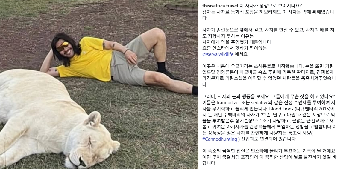 방송인 노홍철이 공개했던 아프리카 사자 인증샷이 뒤늦게 논란이다. /사진=노홍철 인스타그램