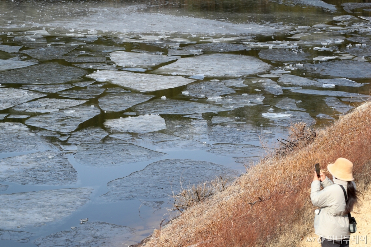 기사의 이해를 돕기 위한 자료 사진. /사진=뉴스1