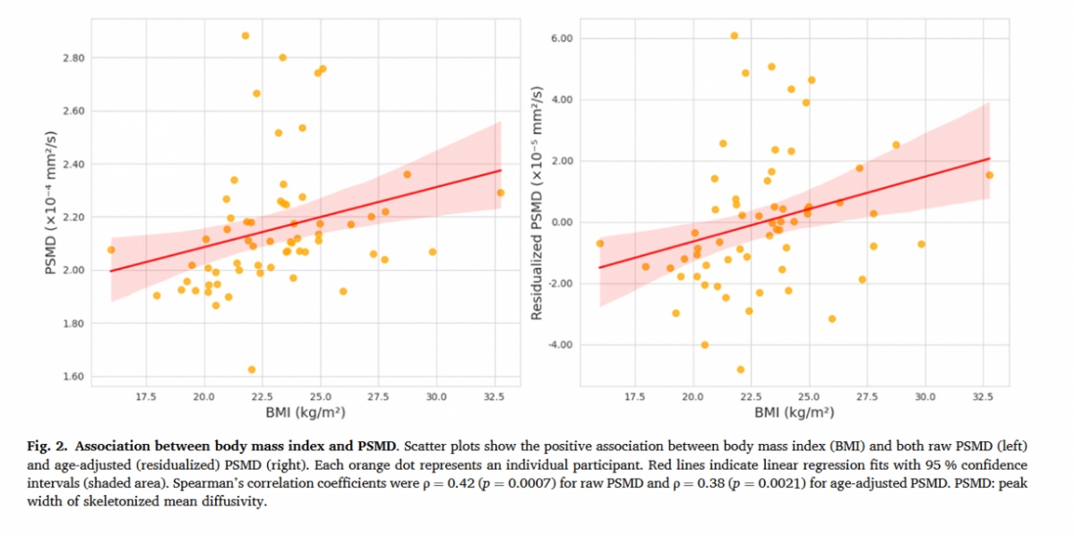 BMI와 PSMD의 관계를 보여주는 이미지. BMI가 높을수록 PSMD 수치도 함께 증가하는 경향을 보여준다. 이는 체중이 증가할수록 뇌 백질의 미세한 구조 변화가 커질 수 있음을 의미한다. /사진제공=해운대백병원