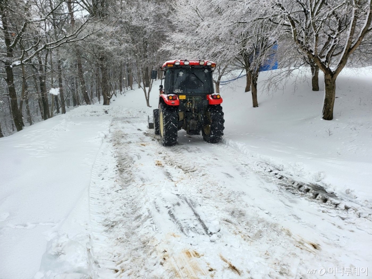 (경주=뉴스1) 최창호 기자 = 5일 오전 경북 경주시 제설팀이 전날 대설경보로 통제됐던 불국로 등에서 제설작업을 하고 있다. 경주시는 이날 오전 중으로 7km 양방향을 개통시키겠다고 밝혔다. (경주시제공, 재판매 및 DB 금지) 2025.3.5/뉴스1 Copyright © 뉴스1. All rights reserved. 무단 전재 및 재배포, AI학습 이용 금지. /사진=(경주=뉴스1) 최창호 기자