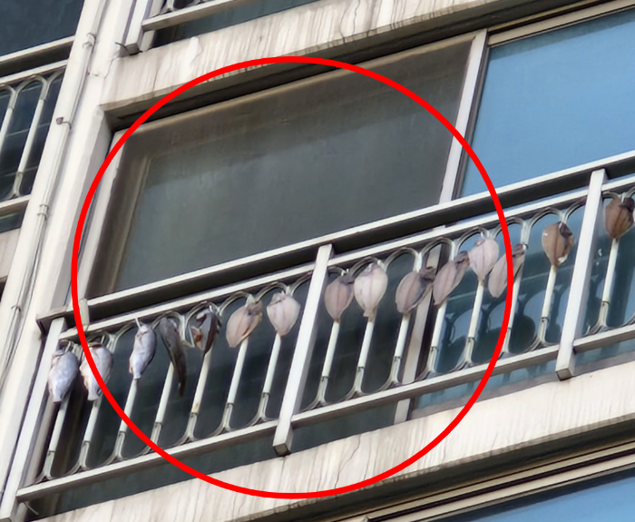 윗집 베란다에서 생선을 말려 심각한 악취에 시달리고 있다는 주민이 "어떻게 해야 할지 모르겠다"며 도움을 요청하고 나섰다. /사진=온라인 커뮤니티