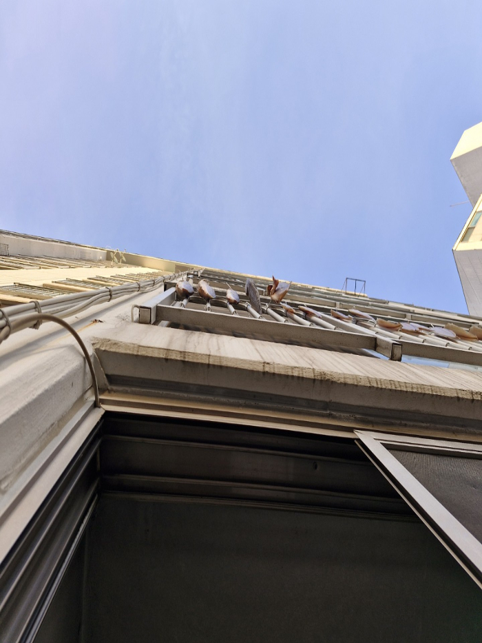 /사진=온라인 커뮤니티