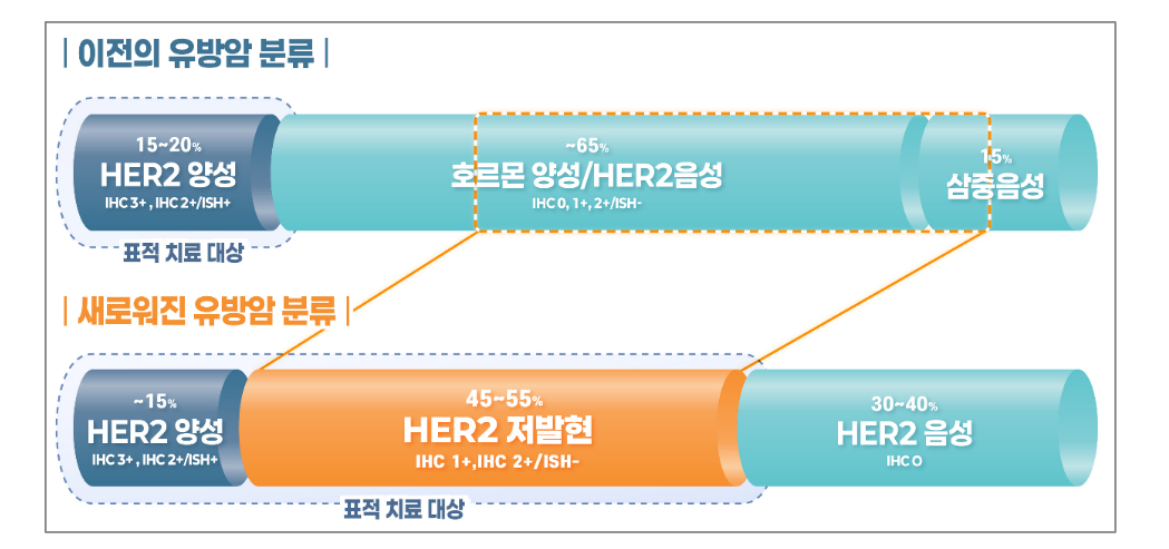 새로워진 유방암 분류 체계./사진=다이이찌산쿄