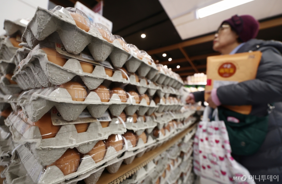 (서울=뉴스1) 김민지 기자 = 공정거래위원회가 계란 가격을 담합 의혹을 받는 대한산란계협회에 공정거래법 위반 행위에 대한 제재 의견을 담은 심사보고서를 발송한 가운데 5일 오후 서울 시내 마트에서 시민이 계란을 고르고 있다. 공정위는 향후 협회 측의 의견서를 검토한 뒤 전원회의를 열어 법 위반 여부와 제재 수위를 최종 확정할 방침이다. 2026.1.5/뉴스1 Copyright © 뉴스1. All rights reserved. 무단 전재 및 재배포, AI학습 이용 금지. /사진=(서울=뉴스1) 김민지 기자