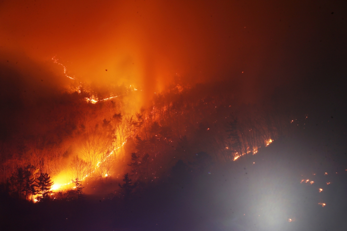 23일 오후 경남 밀양 삼랑진읍 검세리 한 야산에서 발생한 산불이 강풍에 확산되고 있다/사진=뉴스1