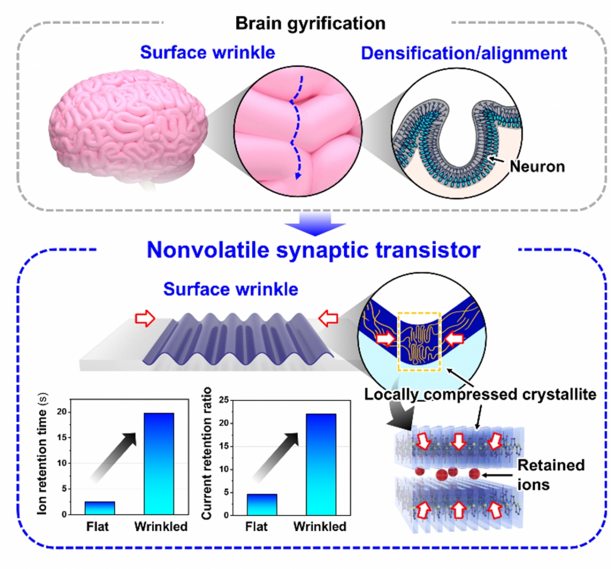 금오공대·서울과기대·가천대 공동 연구팀의 연구자료 이미지./사진제공=금오공대