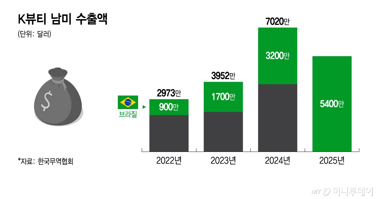 K뷰티 남미 수출액/그래픽=윤선정