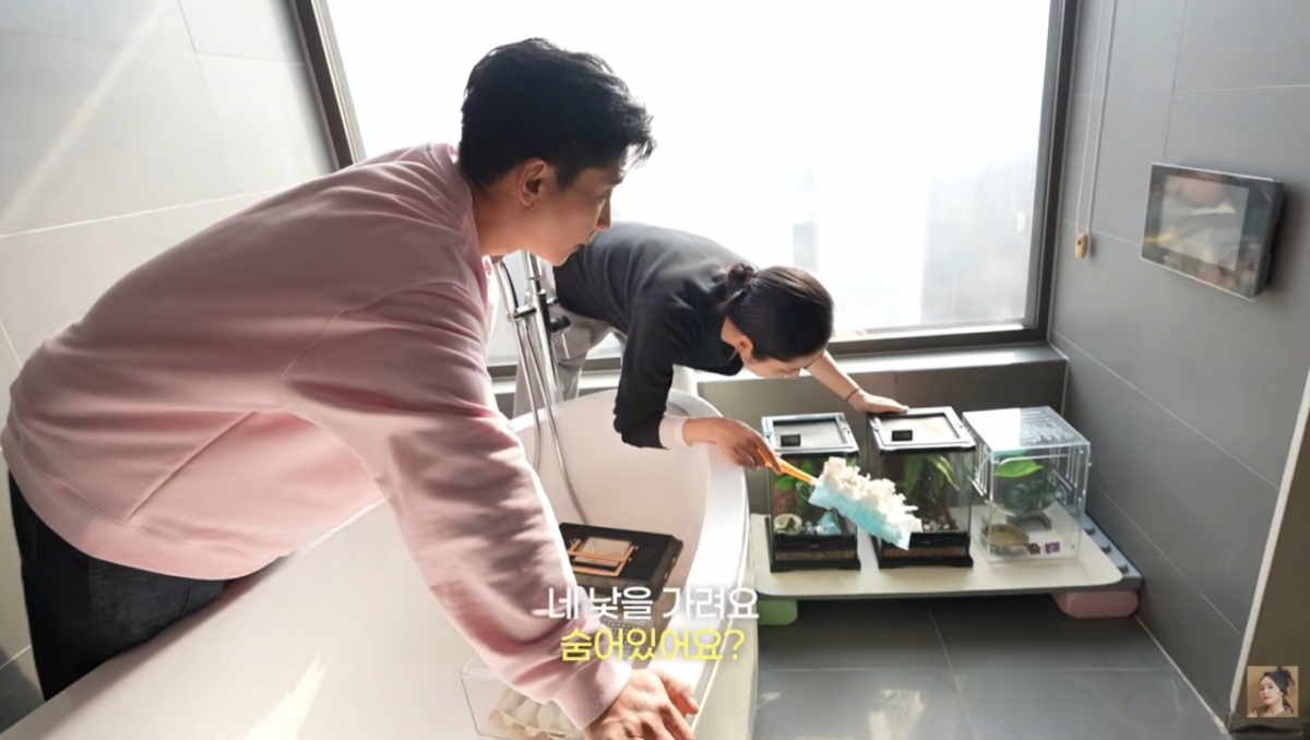 브라이언이 한가인 집 욕실에 있는 도마뱀, 개구리, 귀뚜라미를 보고 경악했다. /사진=유튜브 갈무리 