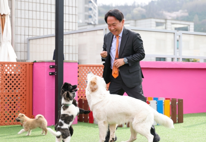 ▲서대문구 홍은동에 위치한 내품애센터에서 반려견들과 어질리티를 하고 있는 이성헌 서대문구청장/사진제공=서대문구