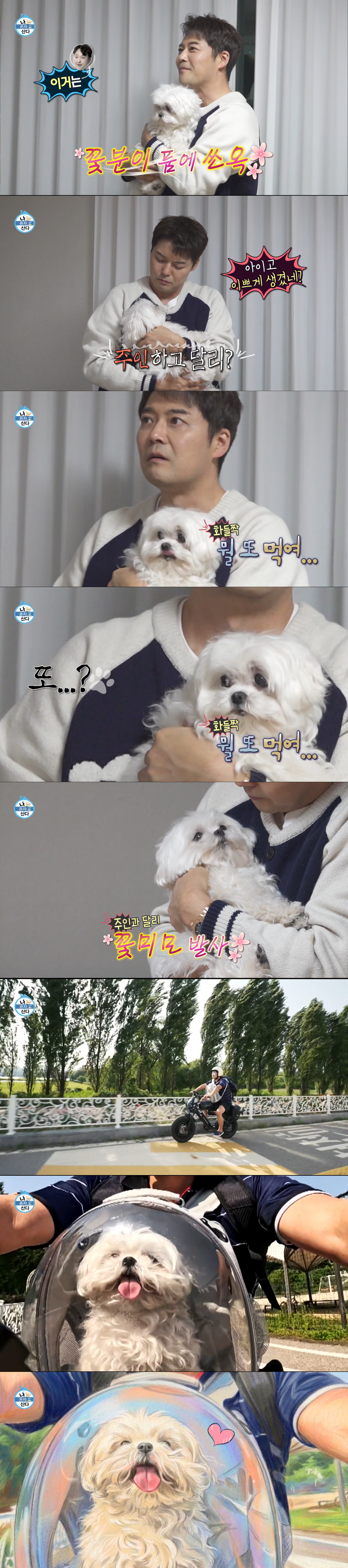 지난 14일 무지개다리를 건넌 구성환의 반려견 '꽃분이'. /사진=MBC '나 혼자 산다' 캡처