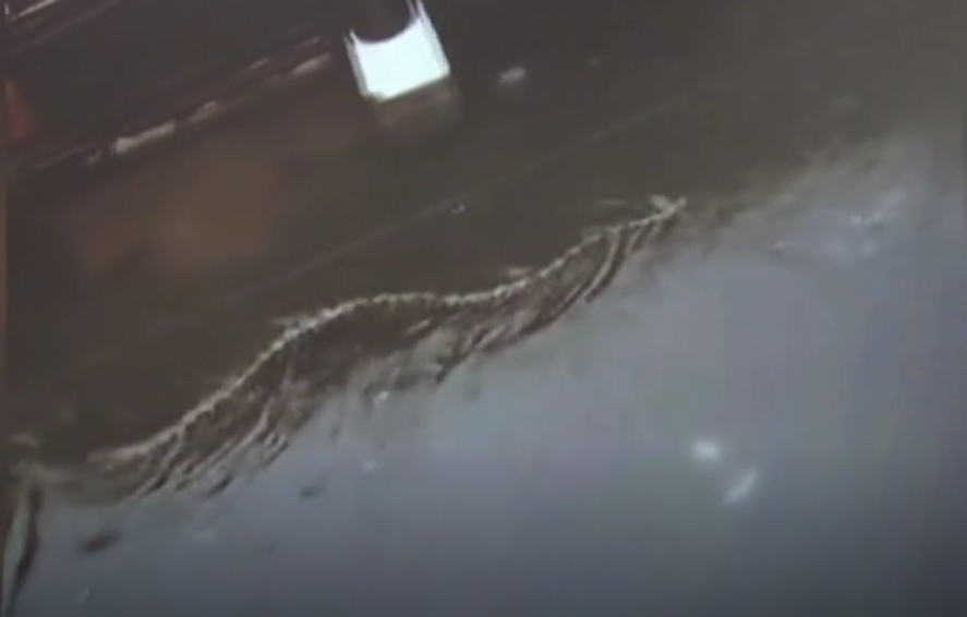 사진=SNS 갈무리