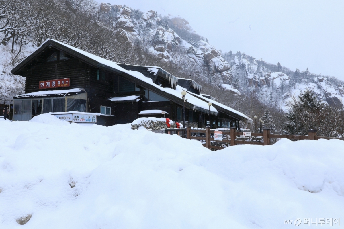 기사의 이해를 돕기 위한 자료 사진. /사진=뉴스1