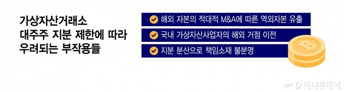 가상자산거래소 대주주 지분 제한에 따라 우려되는 부작용들/그래픽=윤선정