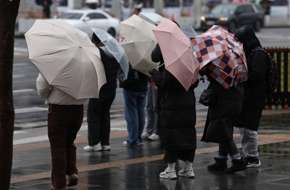 전국 대부분 지역에 비가 내린 지난 2일 서울 광화문광장에서 우산을 쓴 시민들이 횡단보도 신호를 기다리고 있다./사진=뉴스1