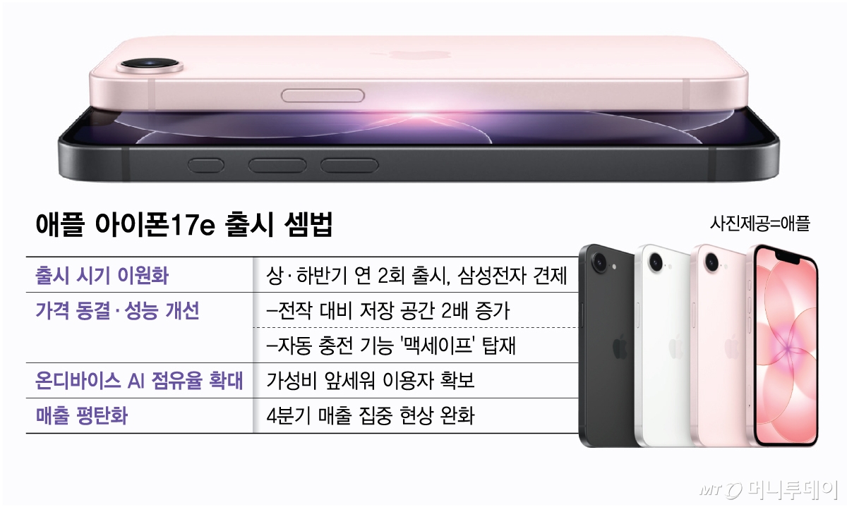 애플 아이폰17e 출시 셈법/그래픽=김다나