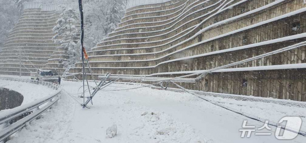강원 산지를 중심으로 최대 60㎝가 넘는 폭설이 쏟아진 3일, 강원 지역 곳곳에서 사고가 잇따랐다. /사진=뉴스1 
