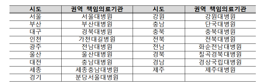 17개 권역 책임의료기관 목록./사진=보건복지부