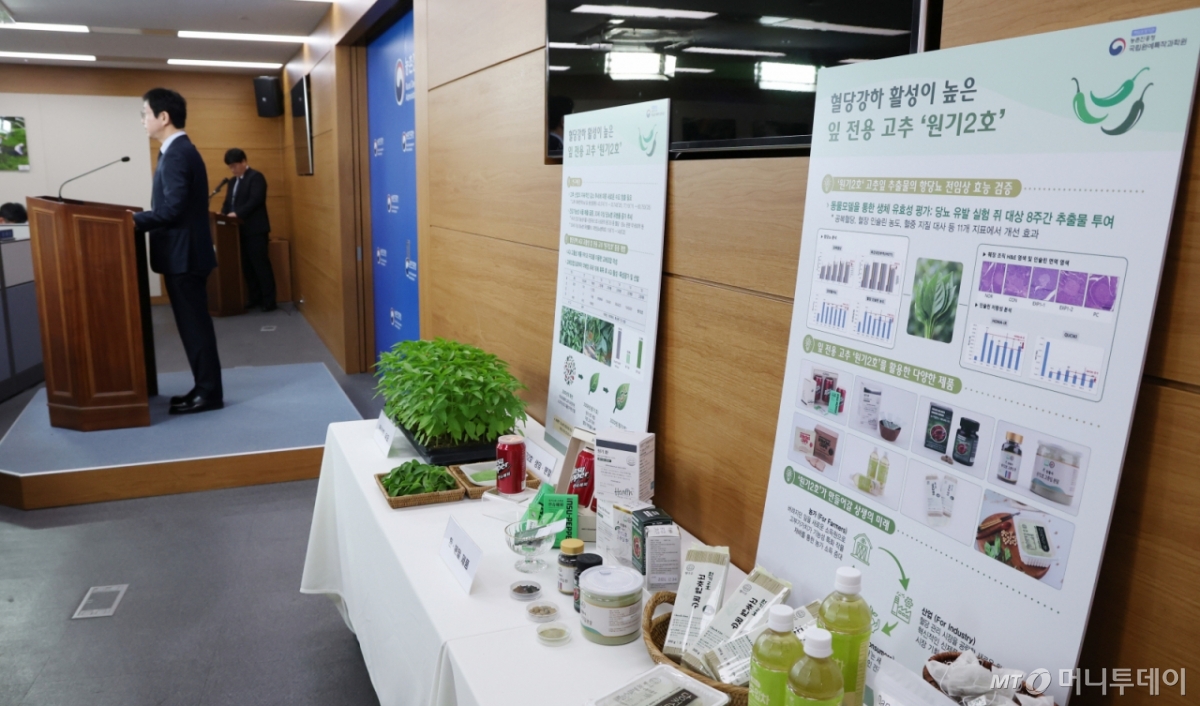 (세종=뉴스1) 김기남 기자 = 김대현 농촌진흥청 국립원예특작과학원장이 4일 세종시 정부세종청사 농식품부에서 고춧잎을 고부가가치 소재로 탈바꿈시킨 ‘원기2호’ 산업화 성과와 이를 통해 열어 갈 K-기능성 채소 산업의 미래 전략 내용을 발표하고 있다. 2026.3.4/뉴스1 Copyright © 뉴스1. All rights reserved. 무단 전재 및 재배포, AI학습 이용 금지. /사진=(세종=뉴스1) 김기남 기자