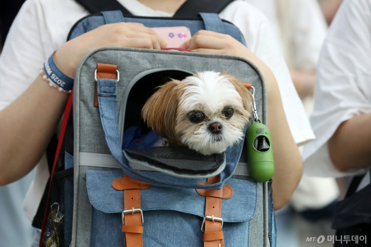 (대구=뉴스1) 공정식 기자 = . 2025.8.29/뉴스1 Copyright © 뉴스1. All rights reserved. 무단 전재 및 재배포, AI학습 이용 금지. /사진=(대구=뉴스1) 공정식 기자