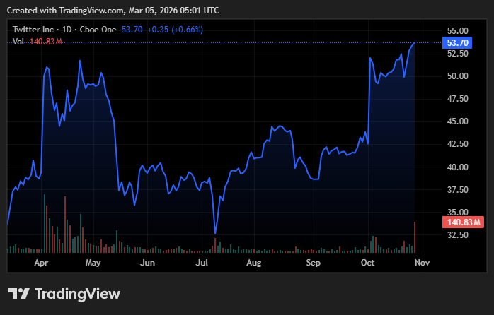 트위터 주가 추이 /사진=트레이딩뷰닷컴