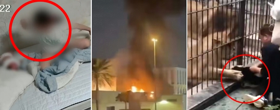 /사진=SBS '그것이 알고 싶다', X 갈무리, 중국 SNS(소셜미디어) 캡처