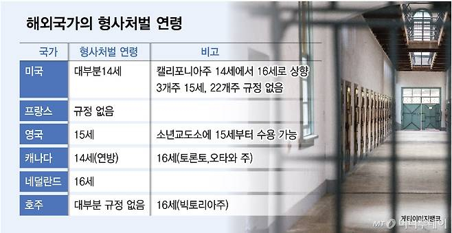 해외국가의 형사처벌 연령./그래픽=김다나 기자