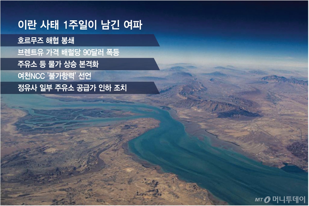 이란 사태 1주일이 남긴 여파/그래픽=김현정