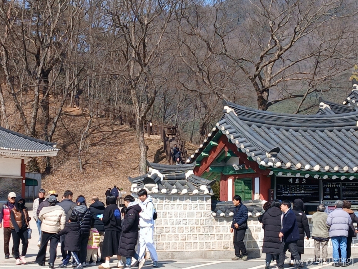 8일 강원 영월군 장릉에 여행객들이 몰려들고 있다. /사진=뉴스1