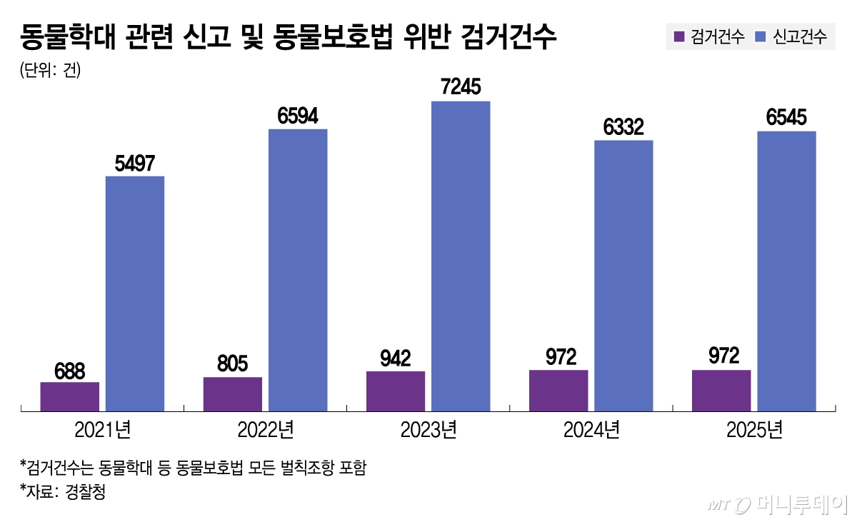 동물학대 관련 신고 및 동물보호법 위반 검거건수/그래픽=김지영