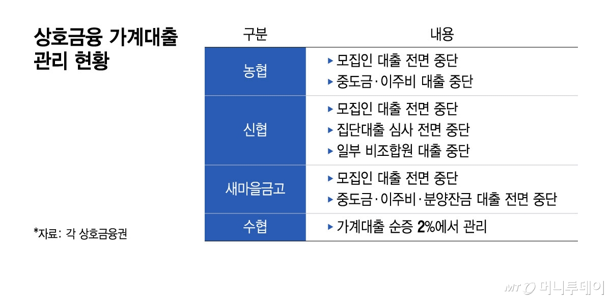 상호금융 가계대출 관리 현황/그래픽=윤선정