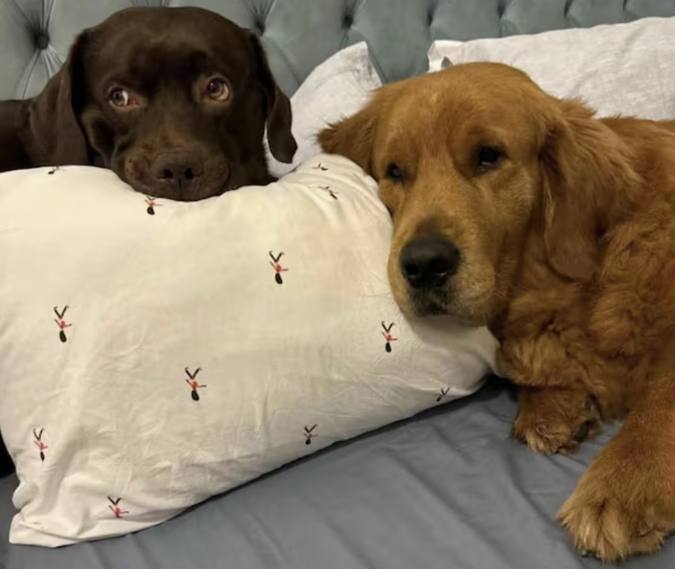 사진=SNS 갈무리