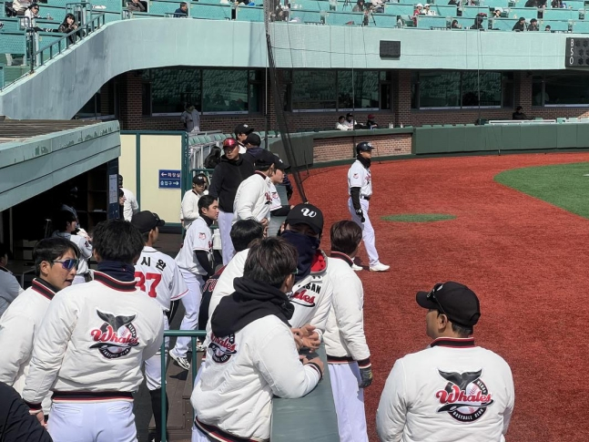 울산웨일즈 선수들이 연습경기를 치르고 있다. /사진=울산웨일즈 제공