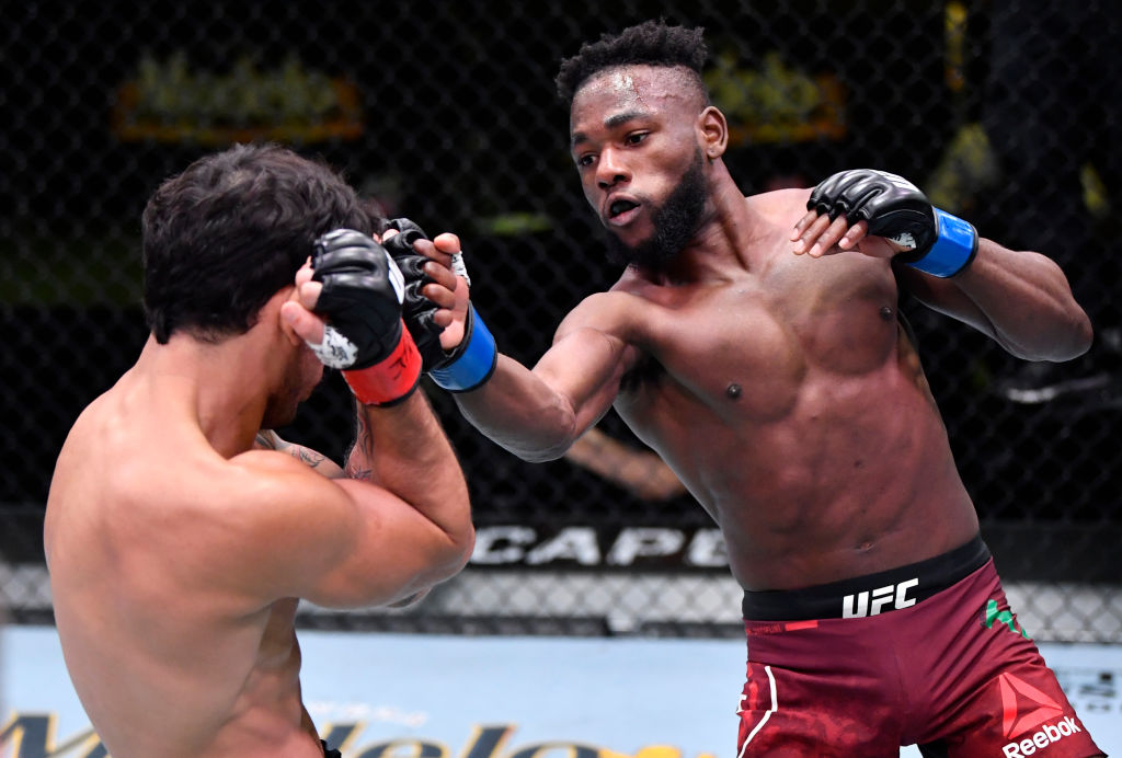 마넬캅과 판토자. /사진=UFC 제공