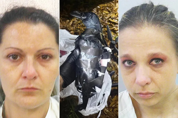 마약 소지·유통, 교도소 내 금지 물품 반입 시도 등 혐의를 받는 캐시 마리 콜(왼쪽)과 멜라니 진 워싱턴. /사진=그랜트 패리시 보안관실