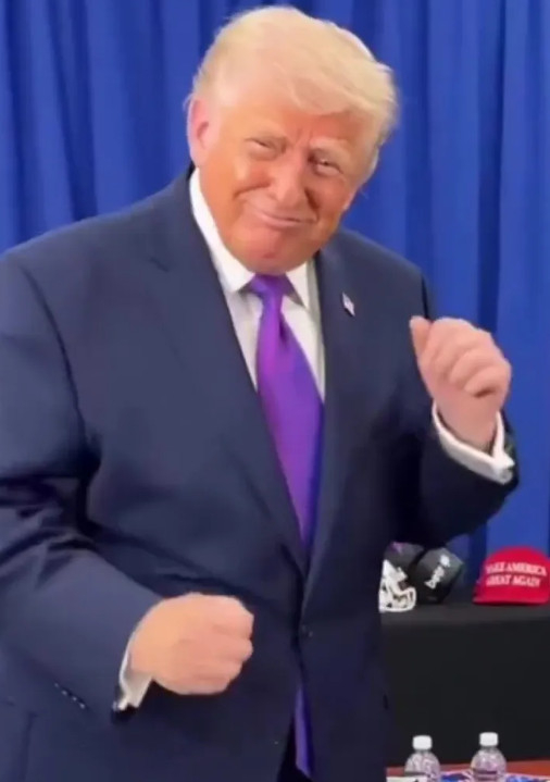 춤을 추는 도널드 트럼프 미국 대통령. /사진=더선 갈무리